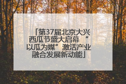 第37届北京大兴西瓜节盛大启幕 “以瓜为媒”激活产业融合发展新动能