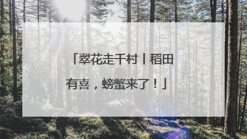 翠花走千村丨稻田有喜，螃蟹来了！