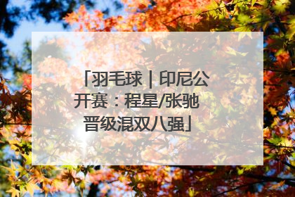羽毛球｜印尼公开赛：程星/张驰晋级混双八强