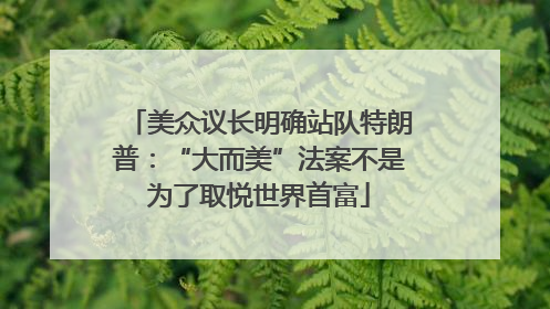 美众议长明确站队特朗普：“大而美”法案不是为了取悦世界首富