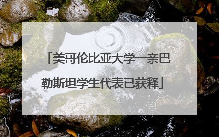 美哥伦比亚大学一亲巴勒斯坦学生代表已获释