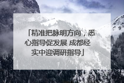 精准把脉明方向，悉心指导促发展 成都经实中迎调研指导