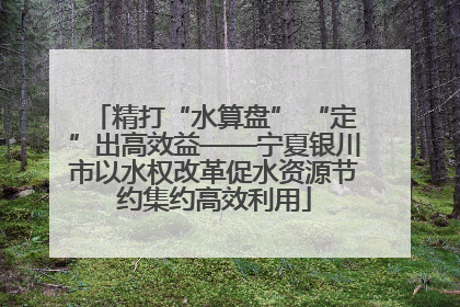 精打“水算盘” “定”出高效益——宁夏银川市以水权改革促水资源节约集约高效利用