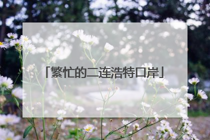 繁忙的二连浩特口岸