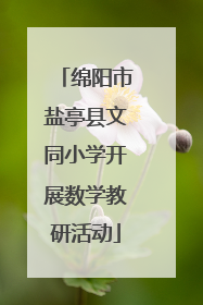 绵阳市盐亭县文同小学开展数学教研活动