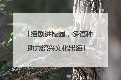 绍剧进校园，多语种助力绍兴文化出海