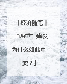 经济随笔丨“两重”建设为什么如此重要？