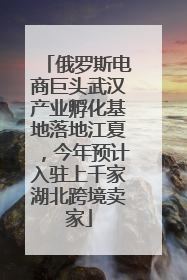 俄罗斯电商巨头武汉产业孵化基地落地江夏，今年预计入驻上千家湖北跨境卖家