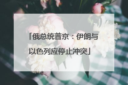 俄总统普京：伊朗与以色列应停止冲突