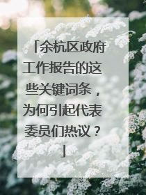 余杭区政府工作报告的这些关键词条，为何引起代表委员们热议？