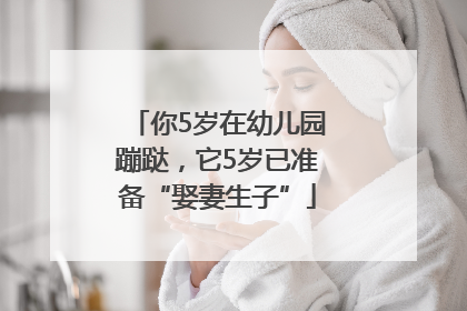 你5岁在幼儿园蹦跶，它5岁已准备“娶妻生子”