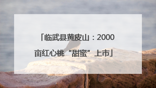临武县黄皮山：2000亩红心桃“甜蜜”上市