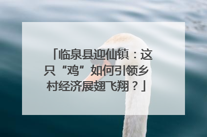 临泉县迎仙镇：这只“鸡”如何引领乡村经济展翅飞翔？