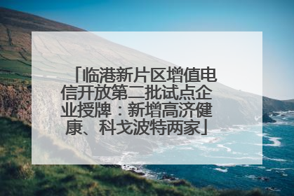 临港新片区增值电信开放第二批试点企业授牌：新增高济健康、科戈波特两家