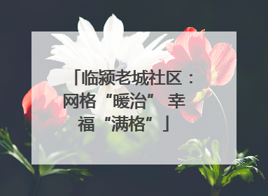 临颍老城社区：网格“暖治” 幸福“满格”