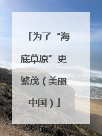 为了“海底草原”更繁茂（美丽中国）
