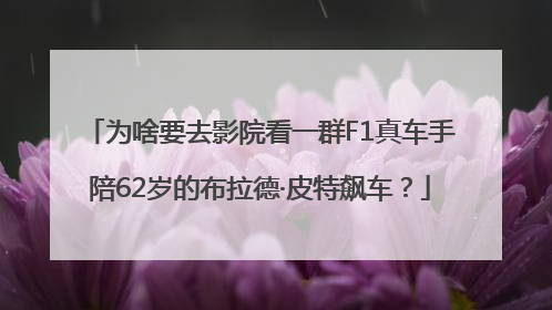 为啥要去影院看一群F1真车手陪62岁的布拉德·皮特飙车？