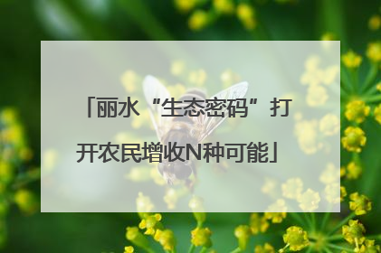 丽水“生态密码”打开农民增收N种可能