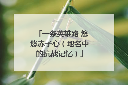 一条英雄路 悠悠赤子心（地名中的抗战记忆）