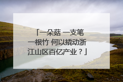 一朵菇 一支笔 一根竹 何以撬动浙江山区百亿产业？