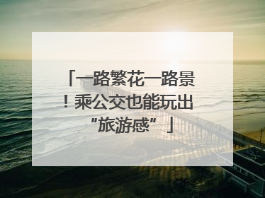 一路繁花一路景！乘公交也能玩出“旅游感”