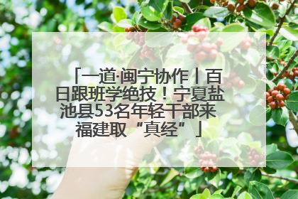 一道·闽宁协作丨百日跟班学绝技！宁夏盐池县53名年轻干部来福建取“真经”