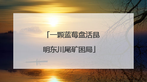 一颗蓝莓盘活昆明东川尾矿困局