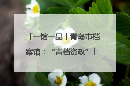 一馆一品丨青岛市档案馆：“青档资政”