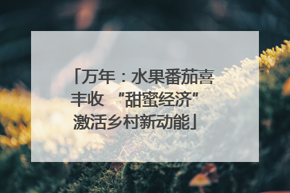 万年：水果番茄喜丰收 “甜蜜经济”激活乡村新动能
