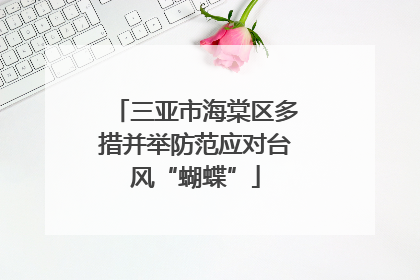 三亚市海棠区多措并举防范应对台风“蝴蝶”