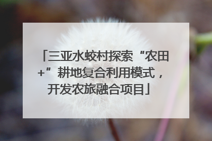 三亚水蛟村探索“农田+”耕地复合利用模式，开发农旅融合项目