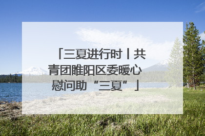 三夏进行时丨共青团睢阳区委暖心慰问助“三夏”