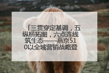 三贯穿定基调，五纵横拓图，六点连线筑生态——燕京510以全域营销战略登顶行业IP新高度