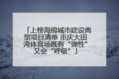 上榜海绵城市建设典型项目清单 重庆大田湾体育场既有“弹性”又会“呼吸”