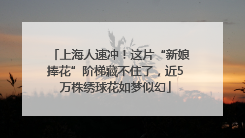 上海人速冲！这片“新娘捧花”阶梯藏不住了，近5万株绣球花如梦似幻