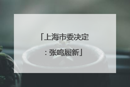 上海市委决定：张鸣履新