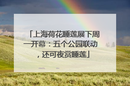 上海荷花睡莲展下周一开幕：五个公园联动，还可夜赏睡莲