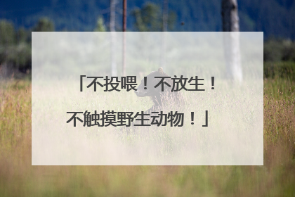 不投喂！不放生！不触摸野生动物！