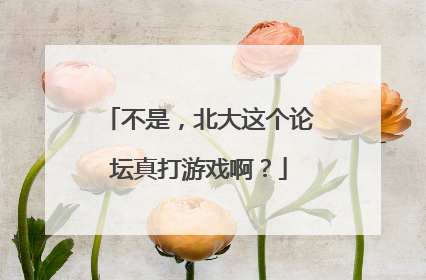 不是，北大这个论坛真打游戏啊？
