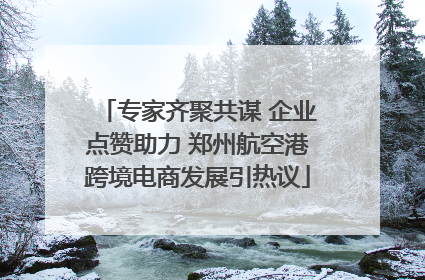 专家齐聚共谋 企业点赞助力 郑州航空港跨境电商发展引热议