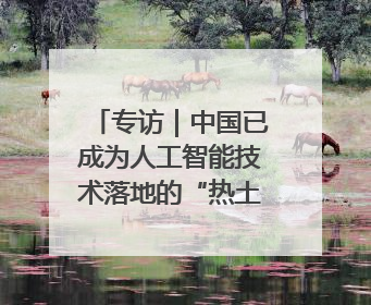 专访｜中国已成为人工智能技术落地的“热土”——访博世集团董事会主席斯特凡·哈通