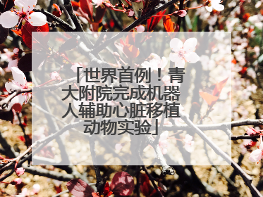 世界首例！青大附院完成机器人辅助心脏移植动物实验