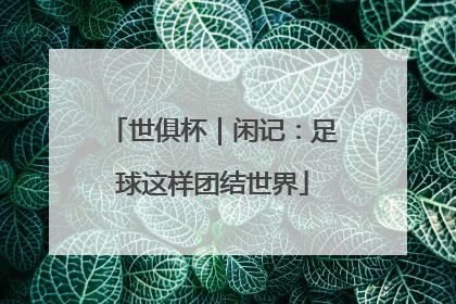 世俱杯｜闲记：足球这样团结世界