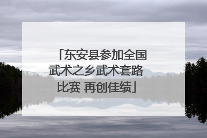 东安县参加全国武术之乡武术套路比赛 再创佳绩