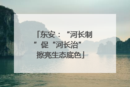 东安：“河长制”促“河长治” 擦亮生态底色
