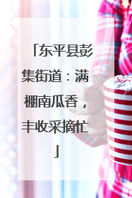 东平县彭集街道：满棚南瓜香，丰收采摘忙
