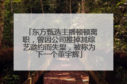 东方甄选主播顿顿离职，曾因公司推掉其综艺邀约而失望，被称为下一个董宇辉