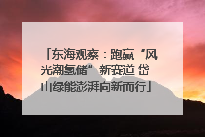 东海观察：跑赢“风光潮氢储”新赛道 岱山绿能澎湃向新而行