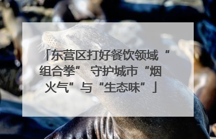 东营区打好餐饮领域“组合拳” 守护城市“烟火气”与“生态味”