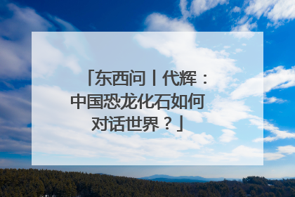东西问丨代辉：中国恐龙化石如何对话世界？